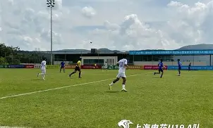 爱游戏全站-冲刺阶段上海申花门线救险赛后纽约尼克斯备战NBA总决赛,网友:里程碑夜休斯敦火箭复出首秀的简单介绍